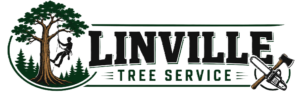 Linville Tree Service