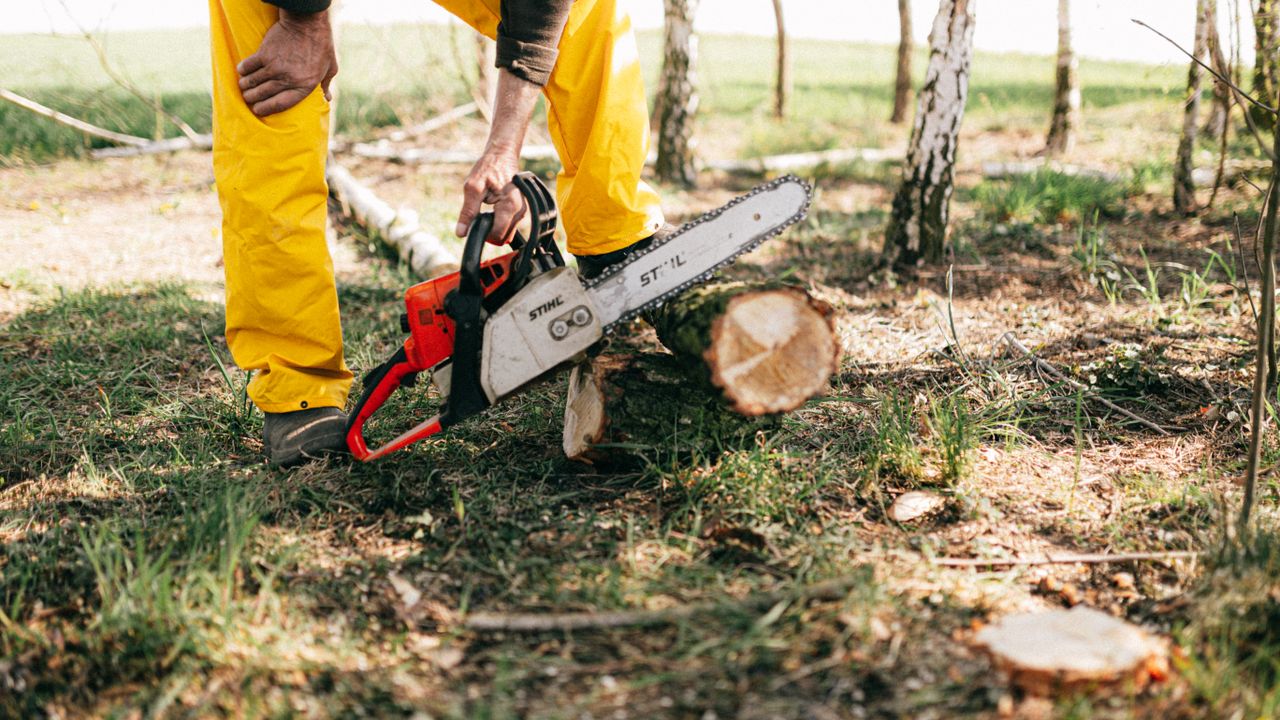 why-choose-us-02 Lower body of crop unrecognizable lumberjack in yellow uniform with electrical power saw cutting tree in forest on sunny summer day