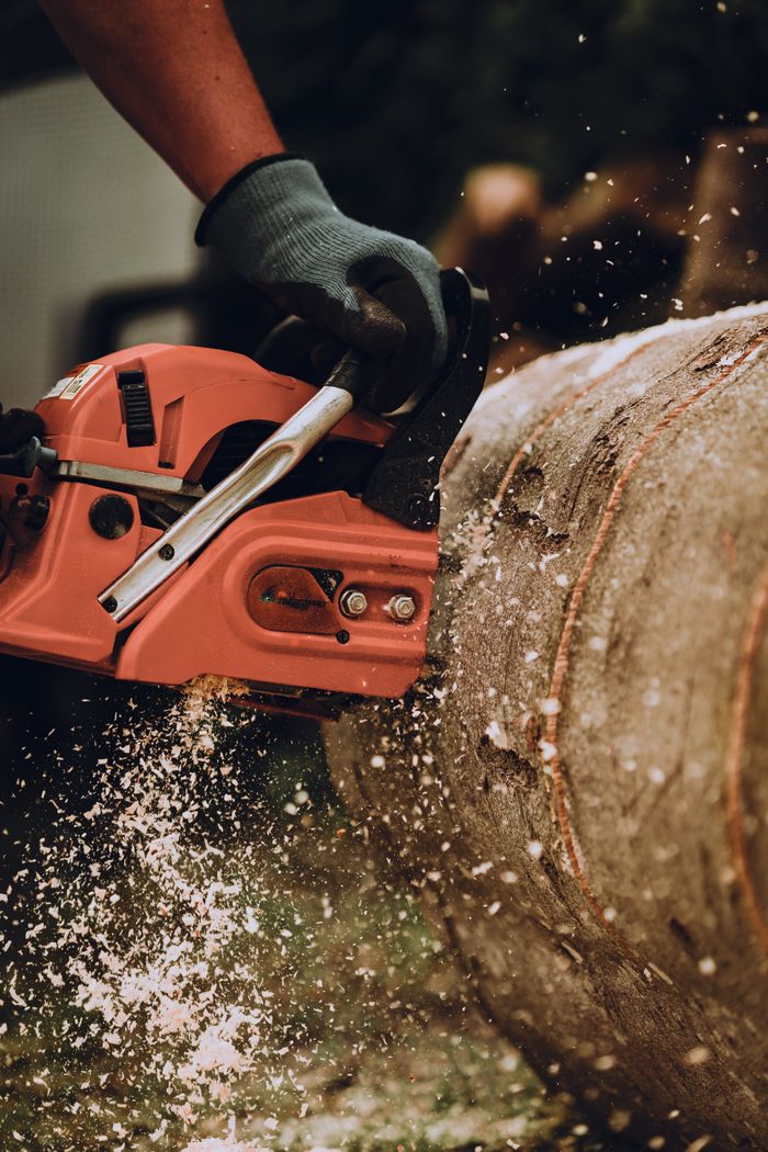 about-02 Close-up of a chainsaw cutting through a tree trunk with sawdust flying, showing manual labor outdoors.